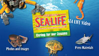 SEALIFE Press Kit